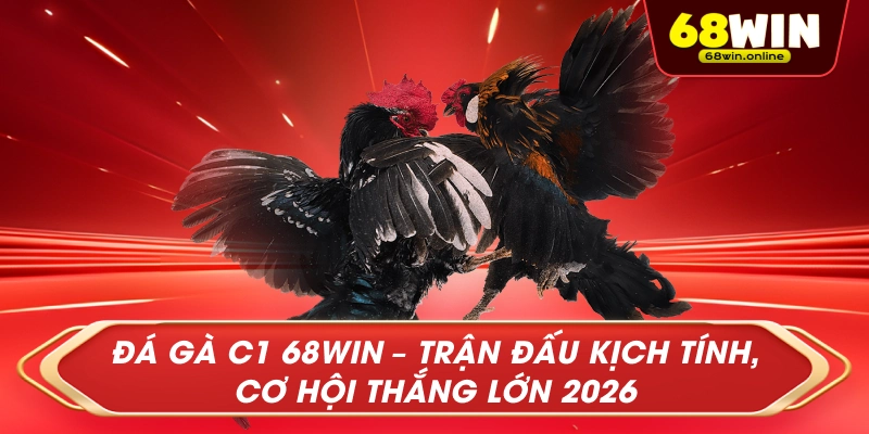 Đá Gà C1 68Win – Trận Đấu Kịch Tính, Cơ Hội Thắng Lớn 2026